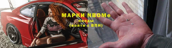 прущие грибы Карталы