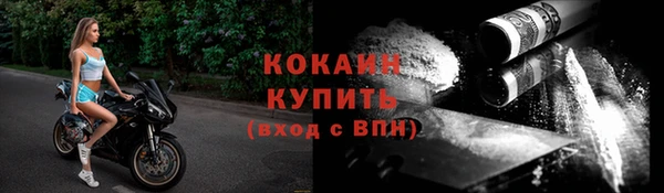 прущие грибы Карталы