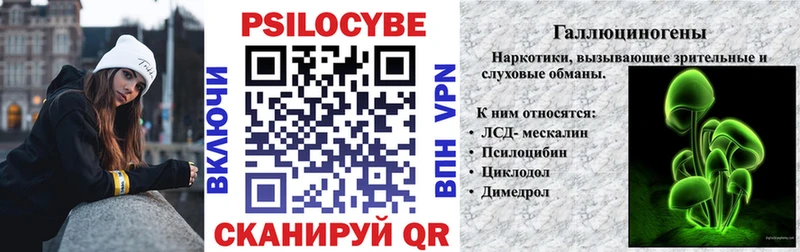 где можно купить   Балаково  Псилоцибиновые грибы Psilocybine cubensis 