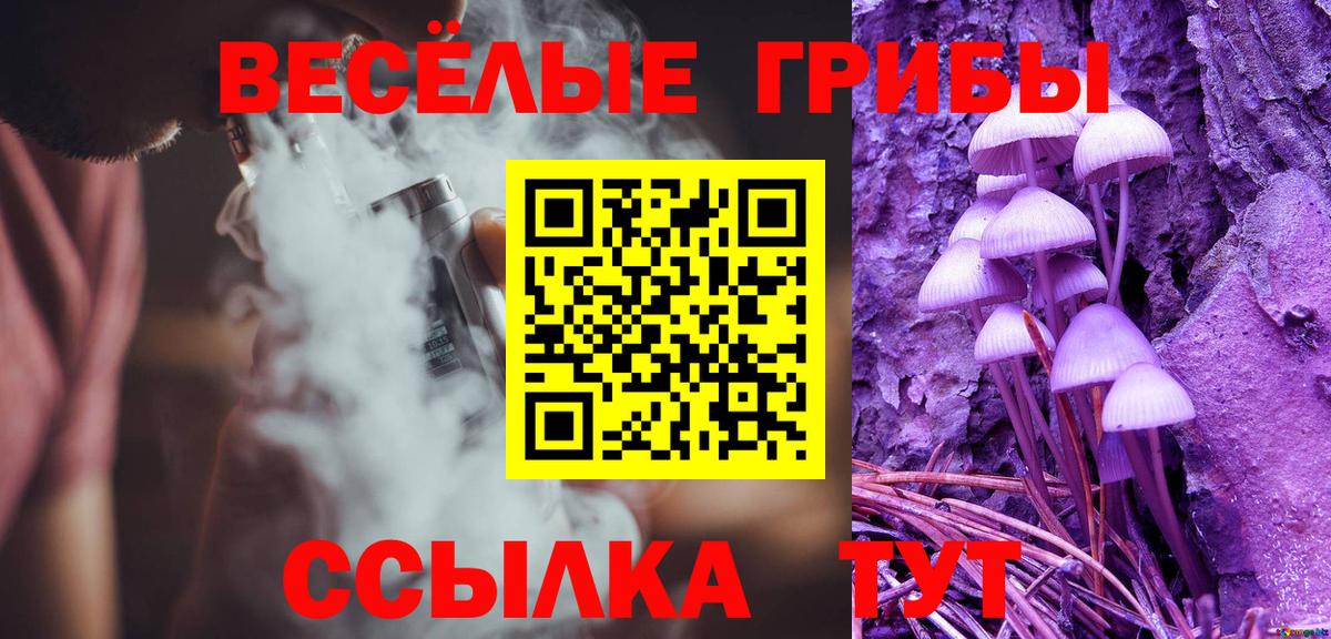 Балаково  Псилоцибиновые грибы Psilocybe  Вход с VPN 
