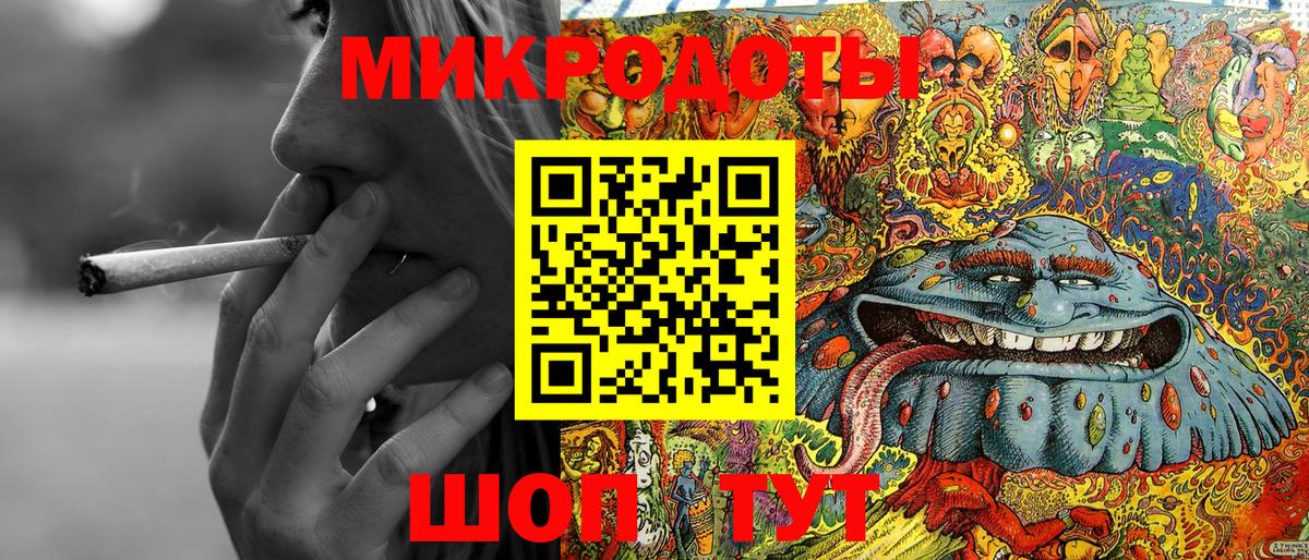 Псилоцибиновые грибы Psilocybine cubensis Балаково